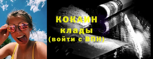 гидра Горняк