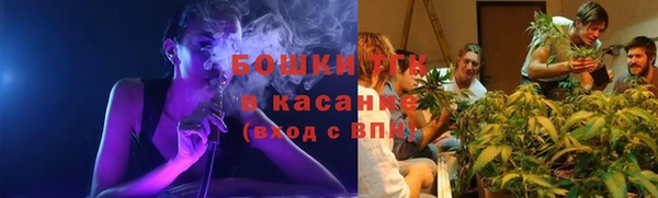 ALPHA PVP Гусиноозёрск