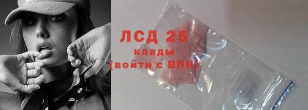 гидра Горняк
