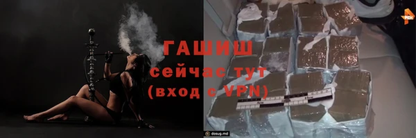 гидра Горняк