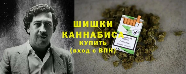 гидра Гусь-Хрустальный