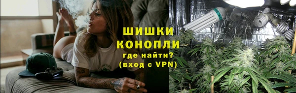 гидра Горняк
