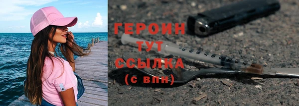 гидра Горняк