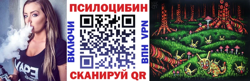 Псилоцибиновые грибы GOLDEN TEACHER  Купить где  Шуя 